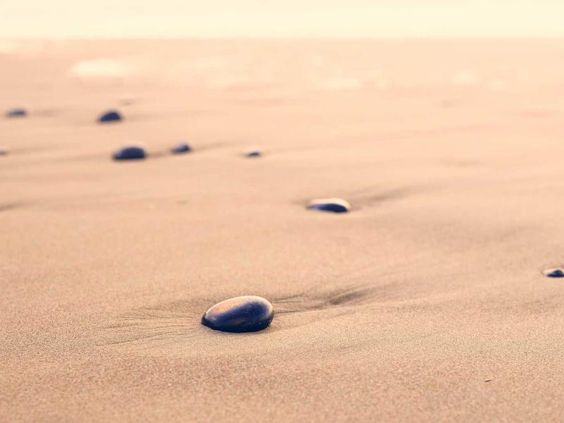 樱花放送<br>日本原版动漫与生肉资源